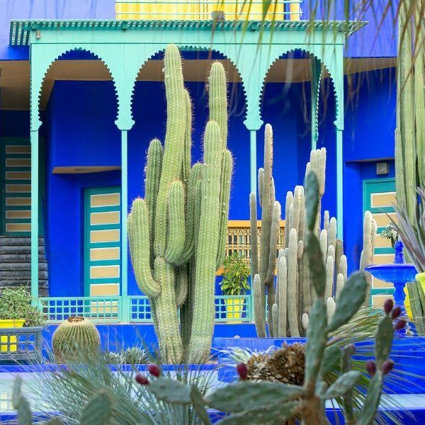 Pravljični Marakeš, 5 dni