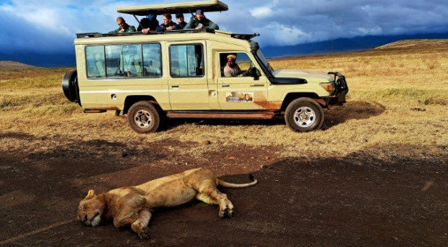 Kenija - safari v Masai Mara in morje