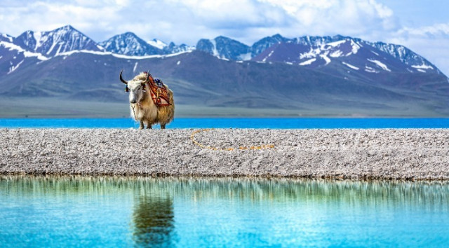 Tibet - V iskanju Šambale 