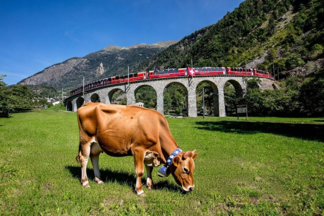 BERNINA EXPRESS, SIR IN ČOKOLADA - 3 DNI